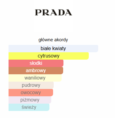 PRADA Paradoxe